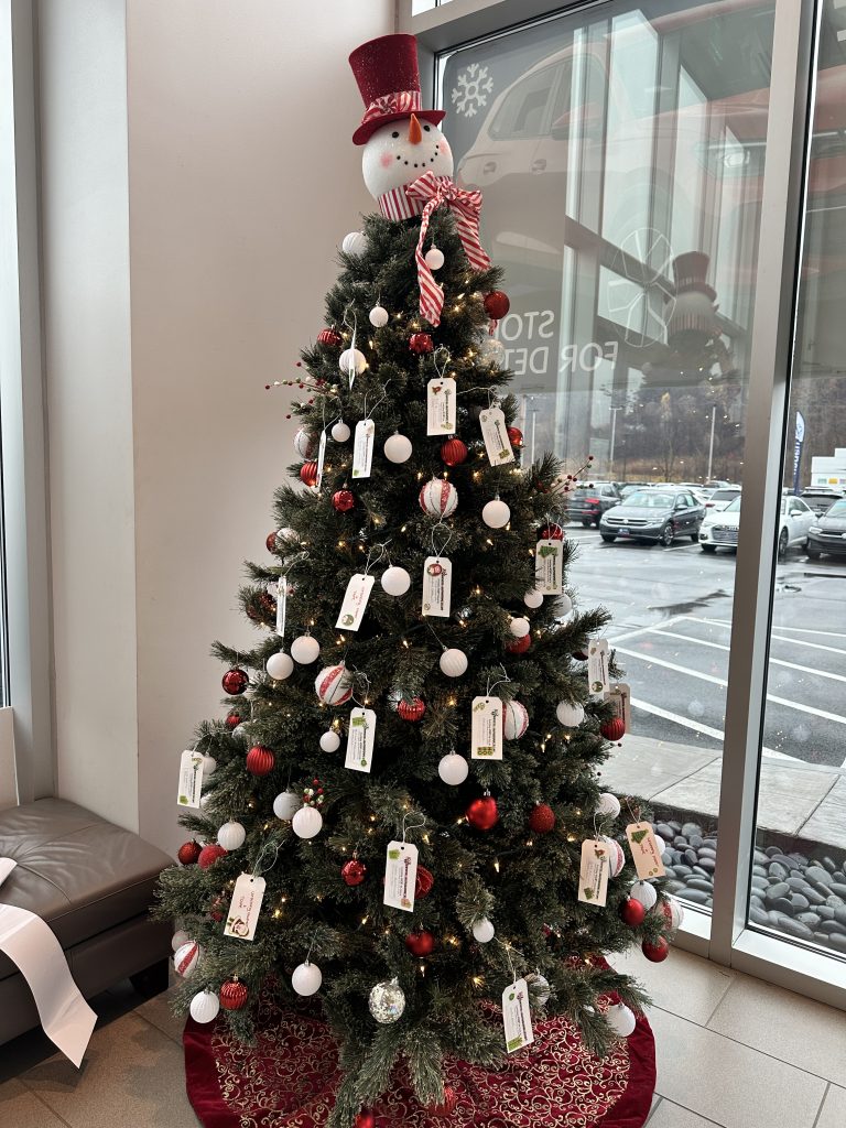 Steet Ponte VW Christmas Tree with giving tree tags for the Adopt-a-Family program to benefit ICAN in Utica, NY