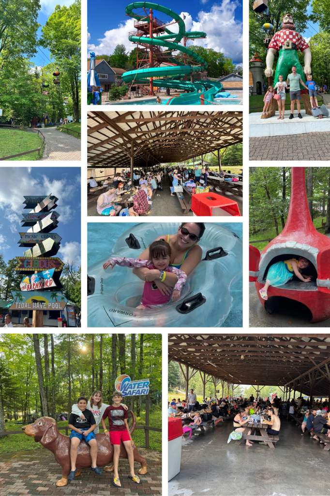 Steet Ponte Auto Group Company picnic at Enchanted Forest Water Safari